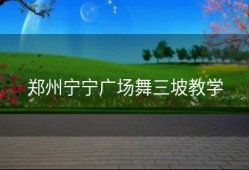 郑州宁宁广场舞三坡教学