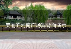 美丽的河南广场舞背面演示