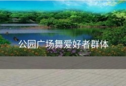 公园广场舞爱好者群体