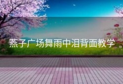 燕子广场舞雨中泪背面教学