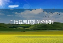 广场舞音箱喇叭介绍图