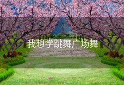 我想学跳舞广场舞