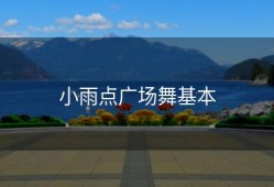 小雨点广场舞基本