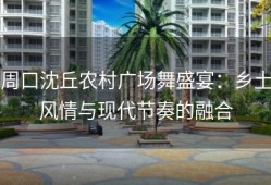 周口沈丘农村广场舞盛宴：乡土风情与现代节奏的融合
