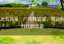 北京风采：广场舞盛宴，舞动新时代的华章