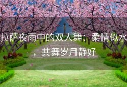 拉萨夜雨中的双人舞：柔情似水，共舞岁月静好