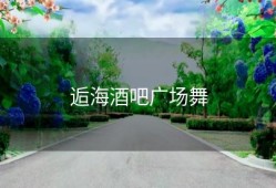 逅海酒吧广场舞