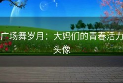 广场舞岁月：大妈们的青春活力头像