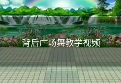 背后广场舞教学视频