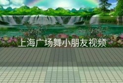 上海广场舞小朋友视频