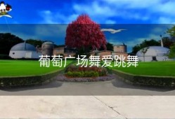 葡萄广场舞爱跳舞