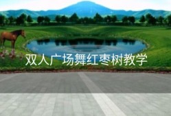 双人广场舞红枣树教学