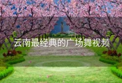 云南最经典的广场舞视频