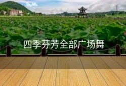 四季芬芳全部广场舞