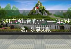 长虹广场舞音响小型——舞动生活，乐享无限