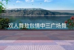 双人舞敖包情中三广场舞