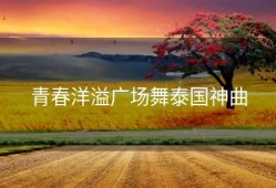 青春洋溢广场舞泰国神曲