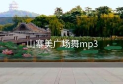 山寨美广场舞mp3