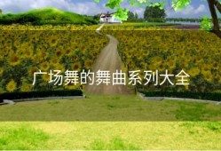 广场舞的舞曲系列大全