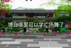 博白哪里可以学广场舞了