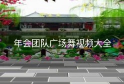 年会团队广场舞视频大全