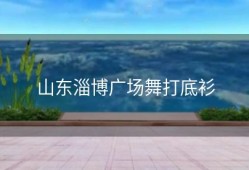 山东淄博广场舞打底衫