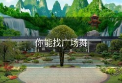 你能找广场舞