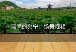 漂亮的兴宁广场舞视频