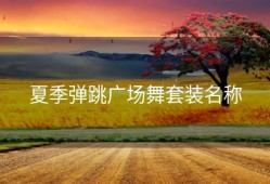 夏季弹跳广场舞套装名称