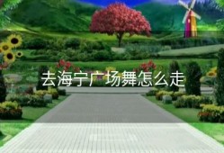 去海宁广场舞怎么走
