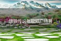 饿狼传说张靓颖广场舞