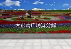 大眼睛广场舞分解