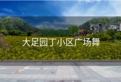 大足园丁小区广场舞