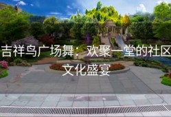 吉祥鸟广场舞：欢聚一堂的社区文化盛宴