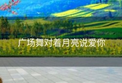广场舞对着月亮说爱你