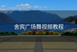 舍宾广场舞视频教程