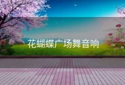 花蝴蝶广场舞音响