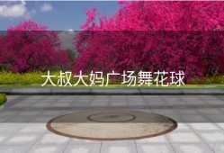 大叔大妈广场舞花球