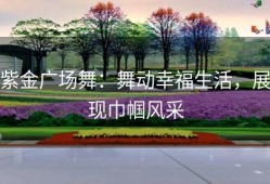 紫金广场舞：舞动幸福生活，展现巾帼风采