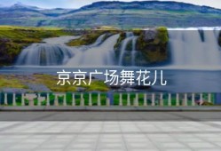 京京广场舞花儿