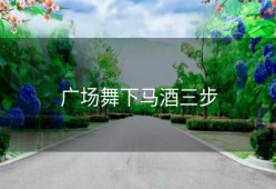 广场舞下马酒三步