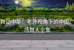 舞动中华：老外视角下的中国广场舞大全集