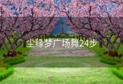 尘缘梦广场舞24步