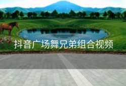 抖音广场舞兄弟组合视频