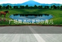 广场舞酒后更想你青儿