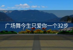 广场舞今生只爱你一个32步