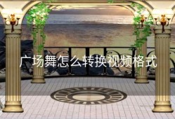 广场舞怎么转换视频格式