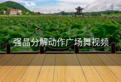 强晶分解动作广场舞视频