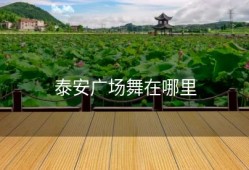 泰安广场舞在哪里
