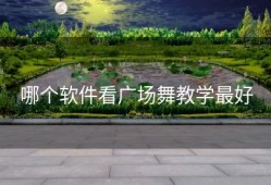 哪个软件看广场舞教学最好